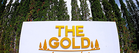 the gold living life