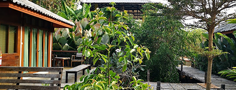 slow life sabaidee pai