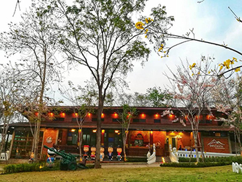 斗细南度假村（Doi Thin Nan Resort）