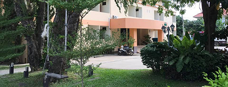 green view apartment