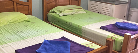 green view apartment