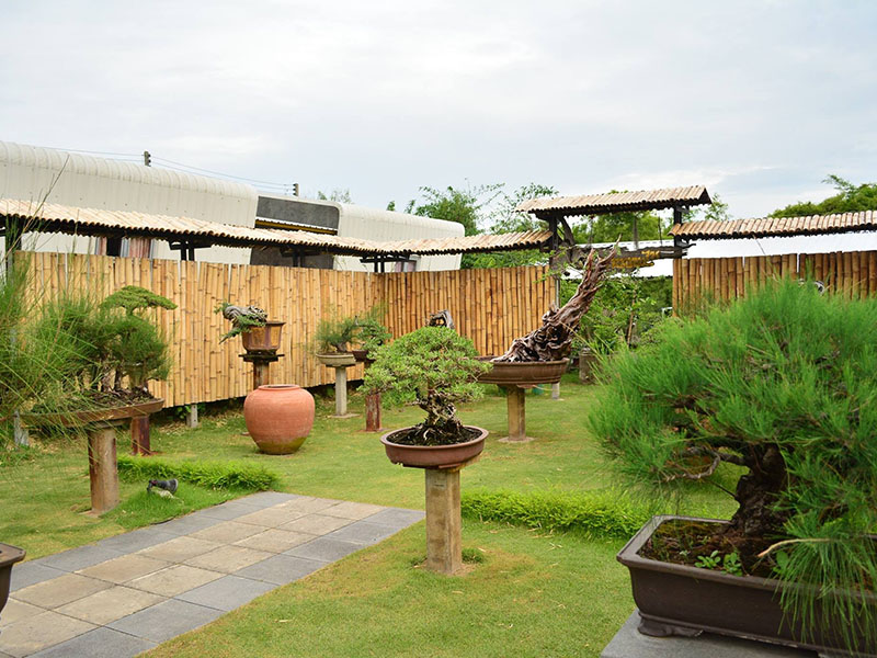 Hotels Nearby 18 Bonsai Garden Resort