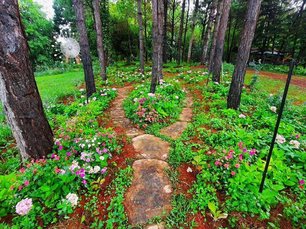 สะเลเต ชาเล่ต์