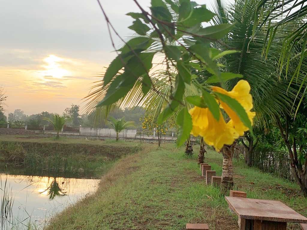 สโมสร รีสอร์ท