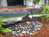Hotel image CS Klongtoey Grand Resort