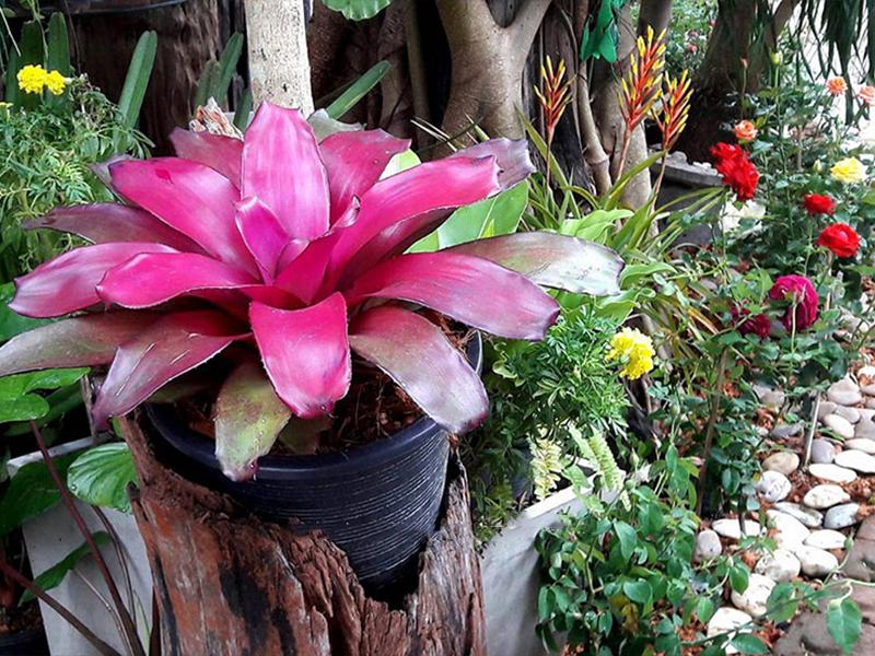 ห้วยคต รีสอร์ท