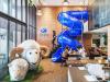 Hotel image Kokotel Bangkok Surawong