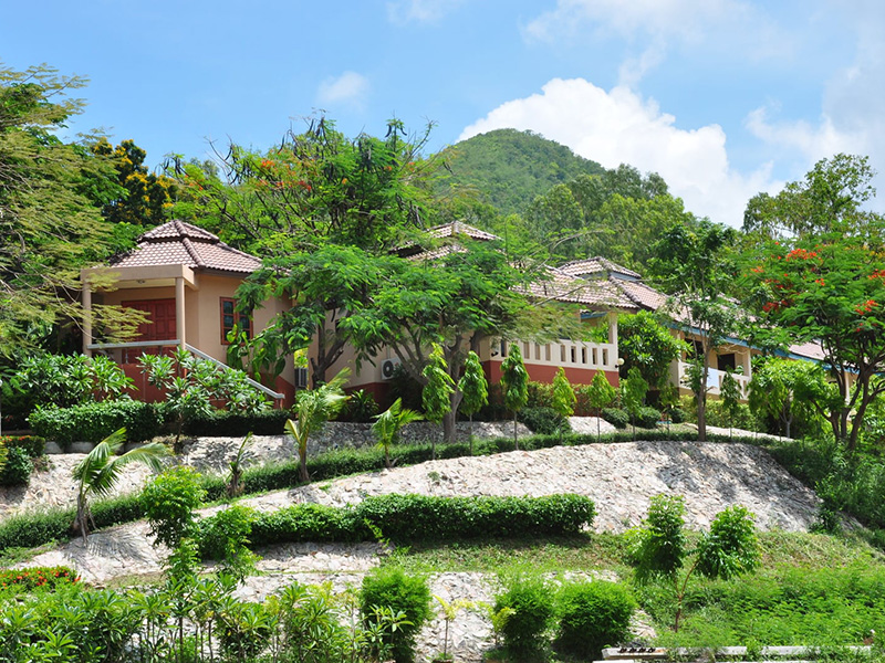 Hotels Nearby Rimpu Hill Resort