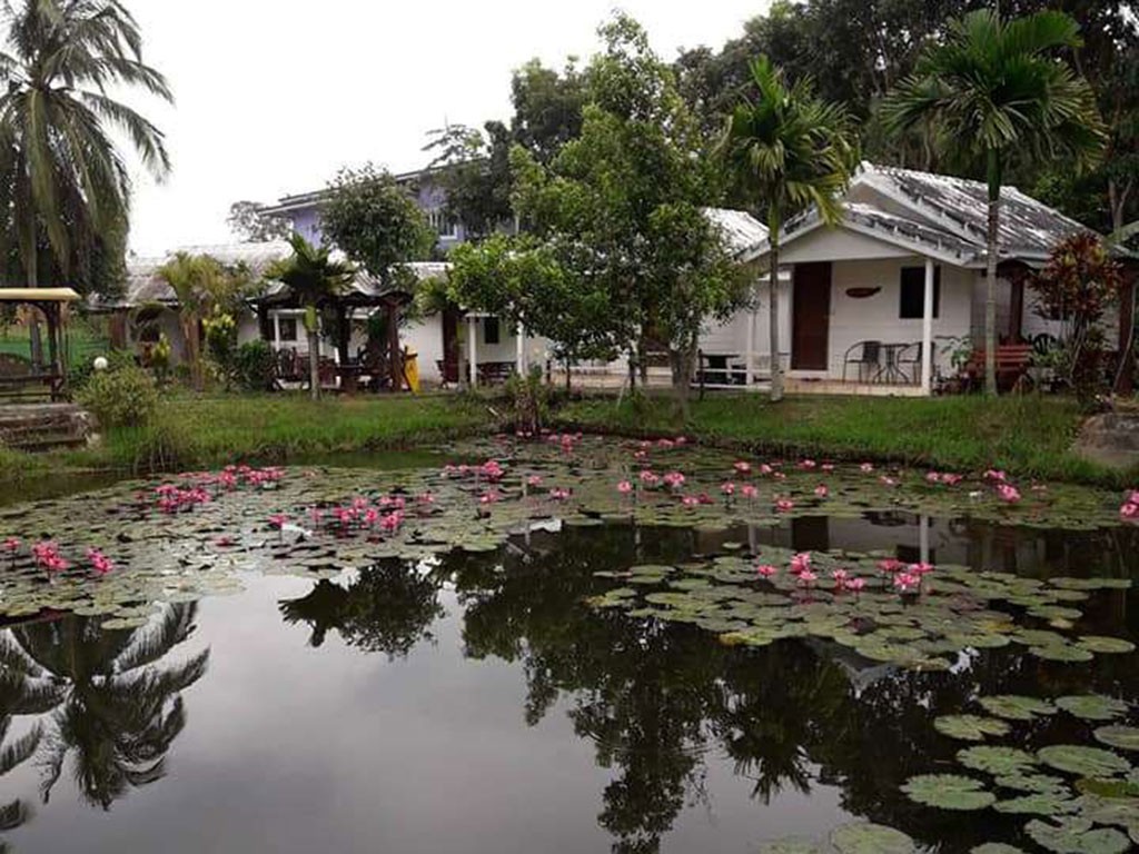 ภูไพรงาม รีสอร์ท