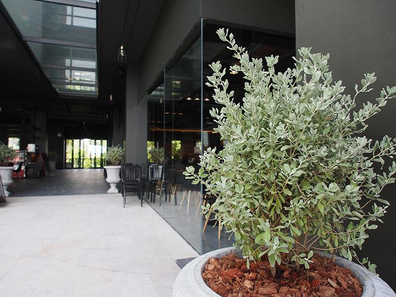 Hotel image Dara Hotel