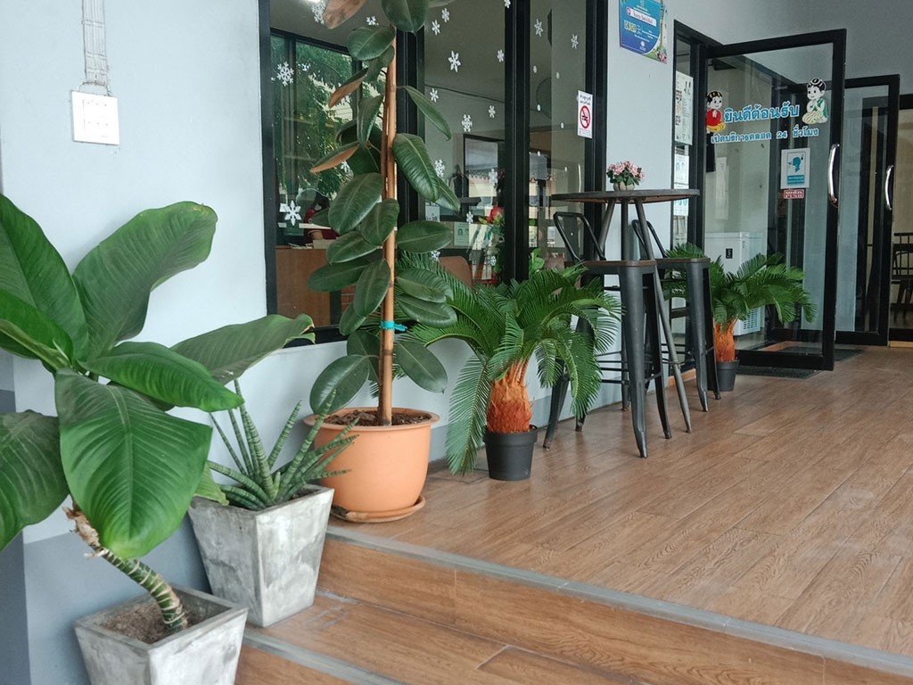 วิลาน่าอินท์