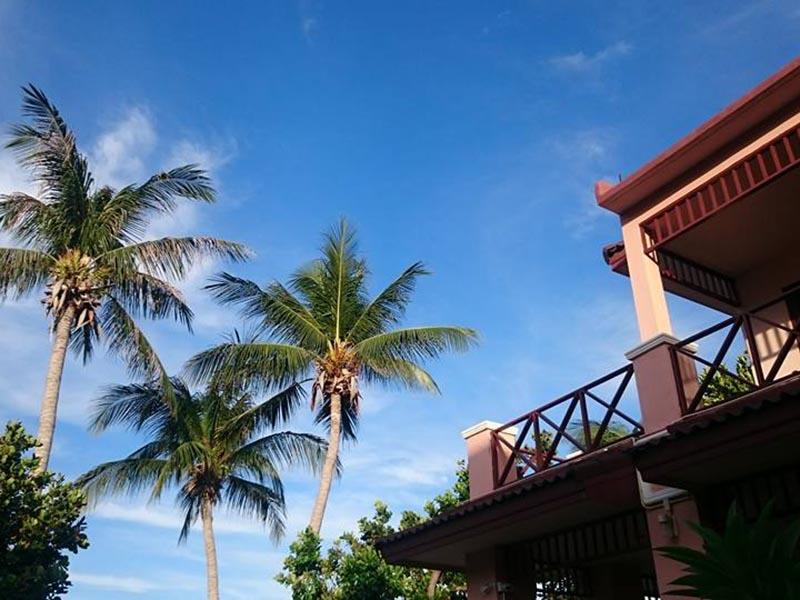 Hotel image Little Paradise Resort