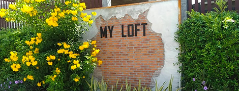my loft kalasin