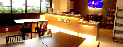 the harmony ville