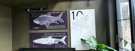 capsule hostel chiangkhan