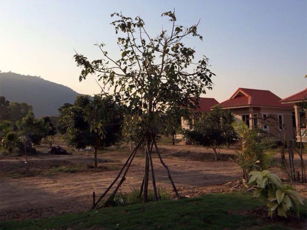 ภูผาเวียง รีสอร์ท