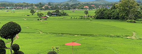 the nan seasons resort