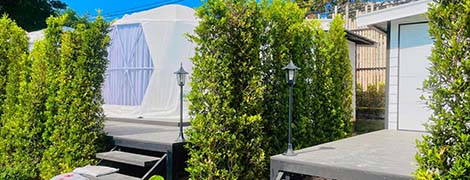 papa q suite resorts