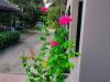 Hotel image Alices​ Boutique​ Resort
