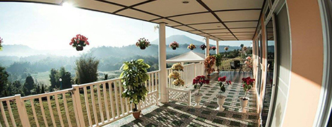 khaoKho punsukphumok