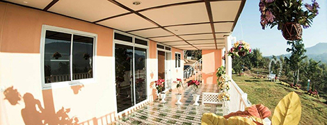 khaoKho punsukphumok