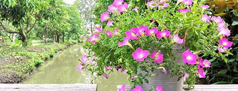 baanrimnam and resort kamphaengsaen