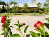 Hotel image PUVA