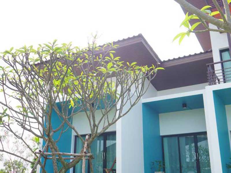 บ้านอิสระ โคราช