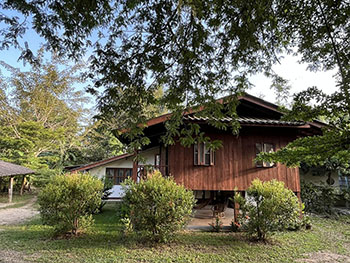 Brown House Chiang Dao