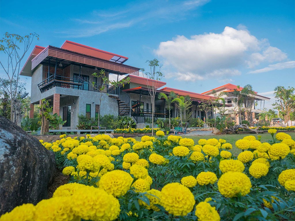เอื้องหลวงจันท์