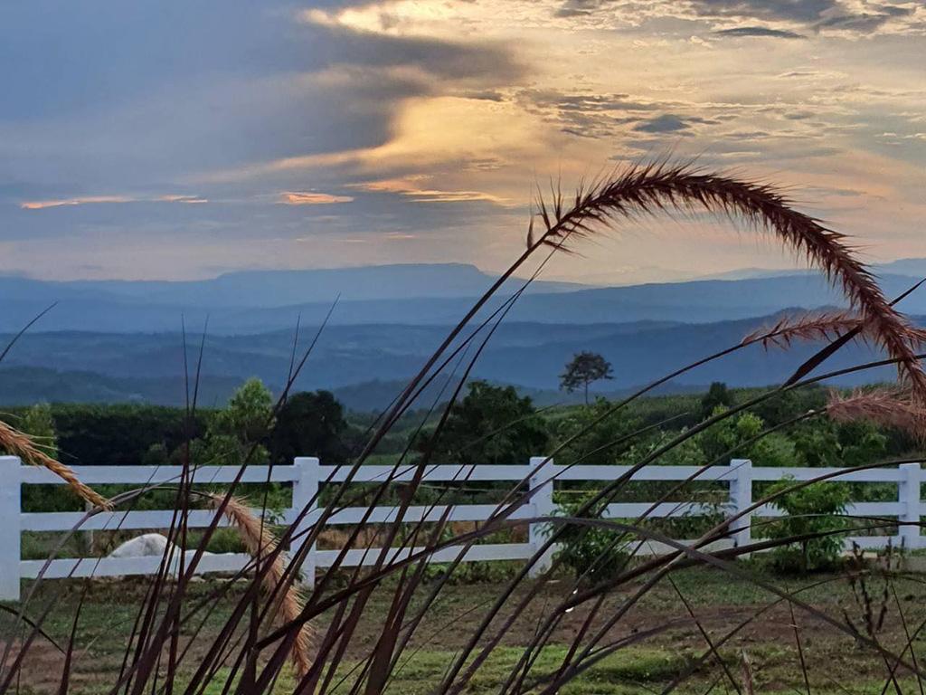 สกายฮิลล์โฮมสเตย์