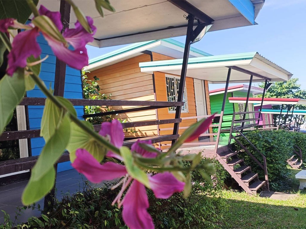 แพลุงหวัง เขื่อนสิรินธร