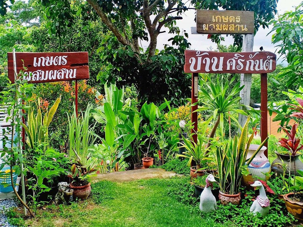 บ้านศริกันต์ วังน้ำเขียว