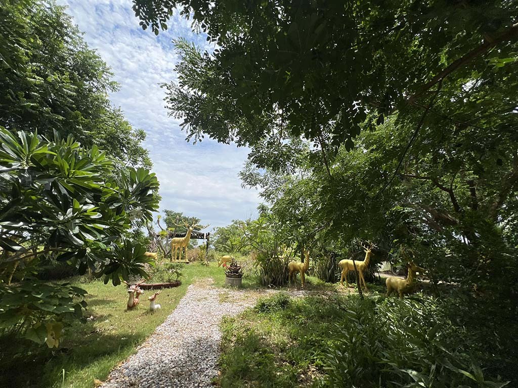 บ้านไร่ภูวสิน159