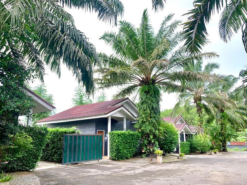 วีพี รีสอร์ท คลองท่อม