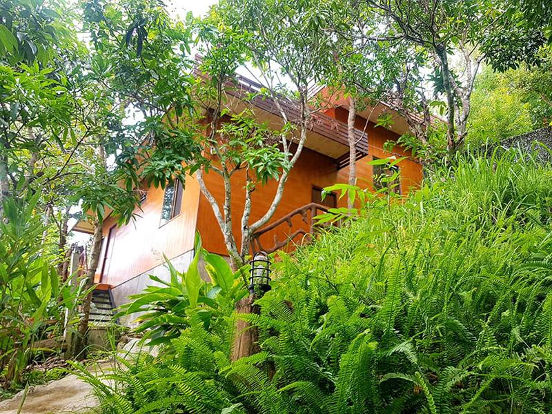 บ้านมะม่วงหลวง เกสท์เฮ้าส์