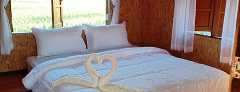 thung kwaeng homestay