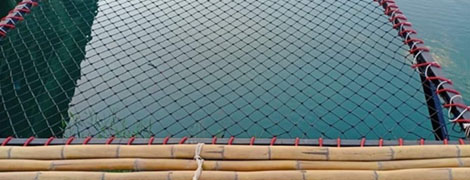 thung kwaeng homestay