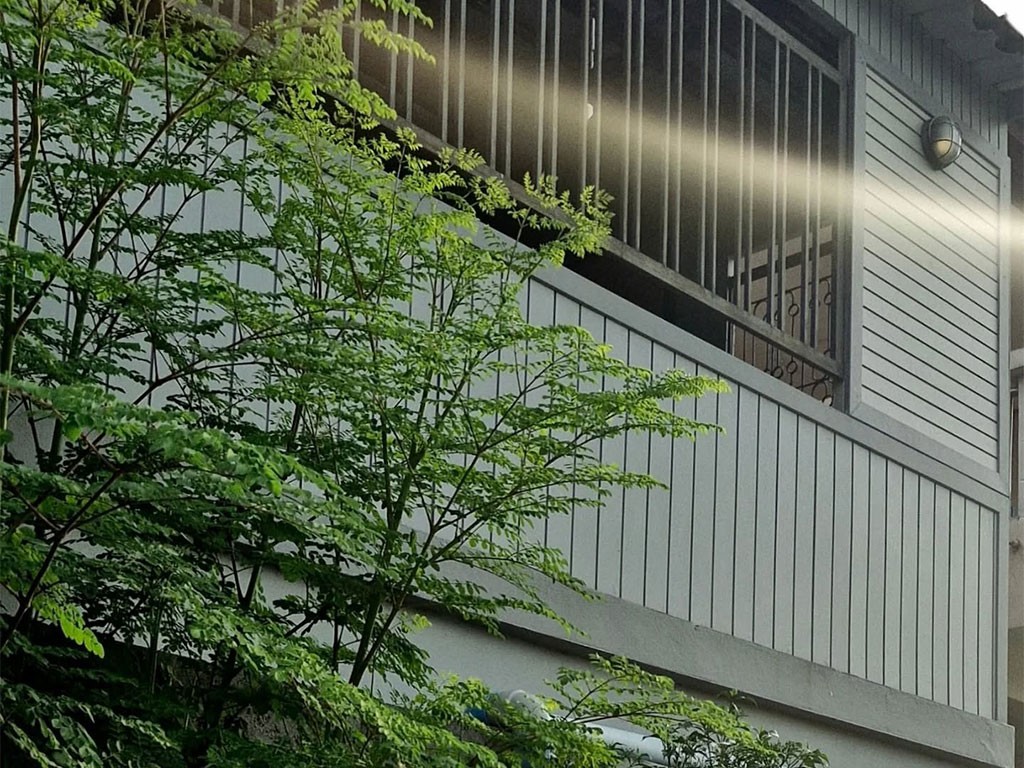 ดอนเมือง แอท ลาส