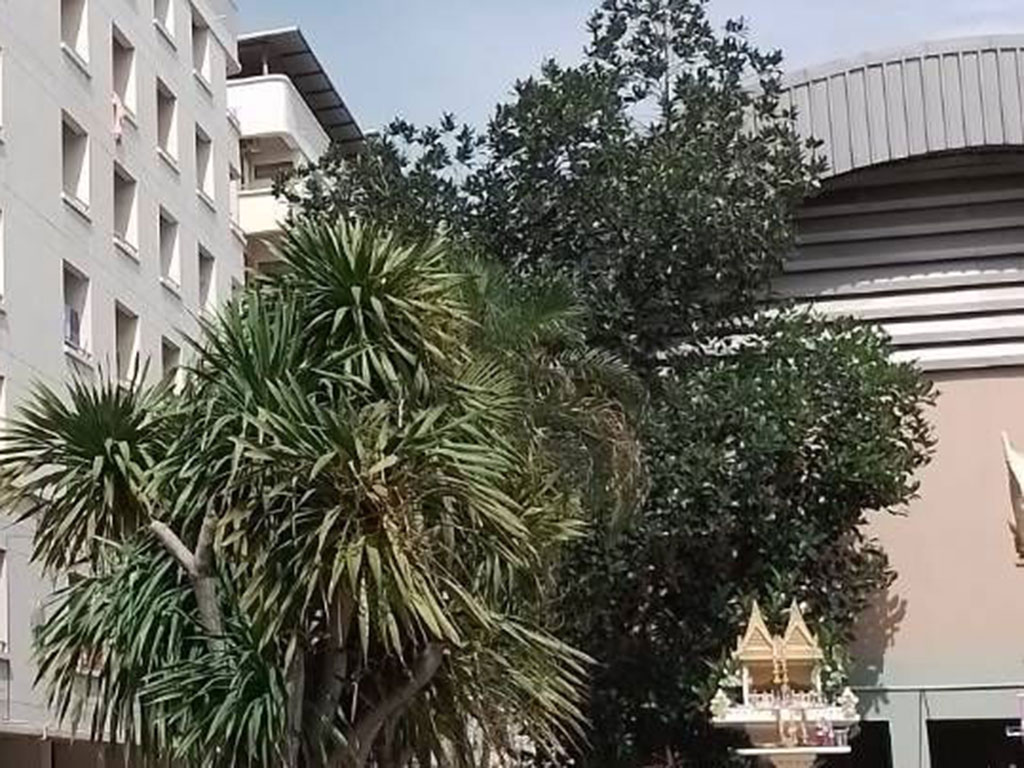 สไมล์ แมนชั่น 1