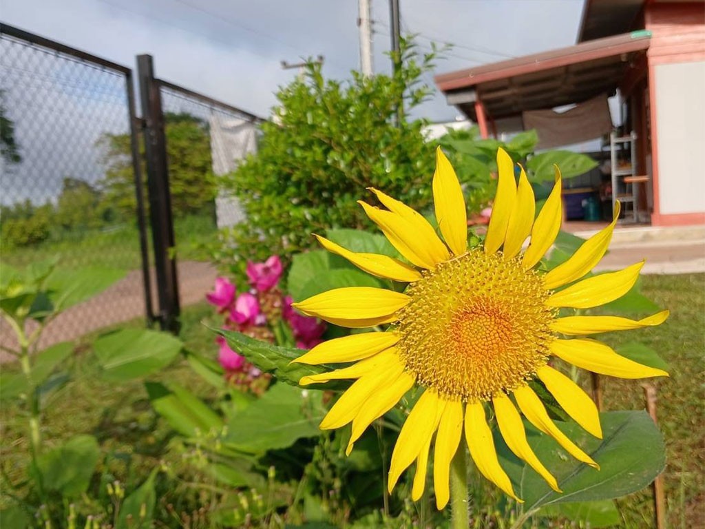 ทรัพย์ดี รีสอร์ท