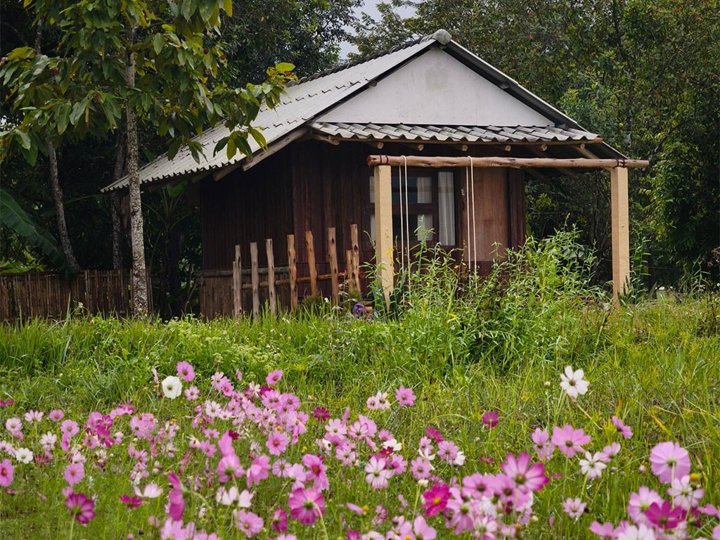 บิ๊กลีฟ แคมป์