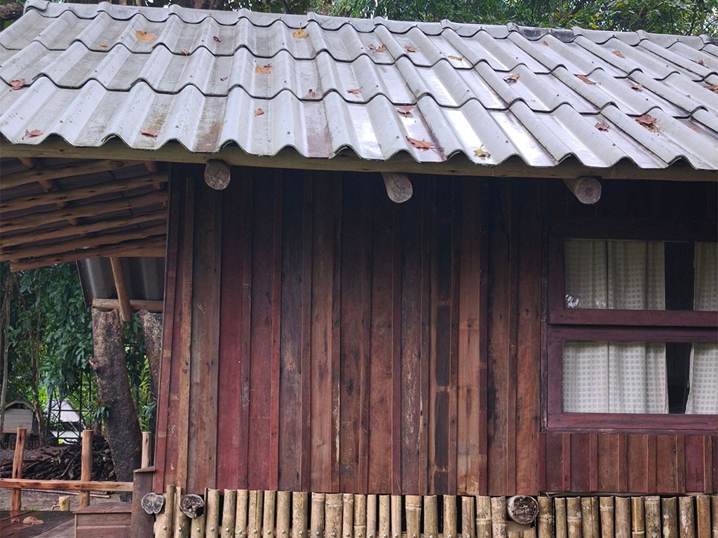 บิ๊กลีฟ แคมป์