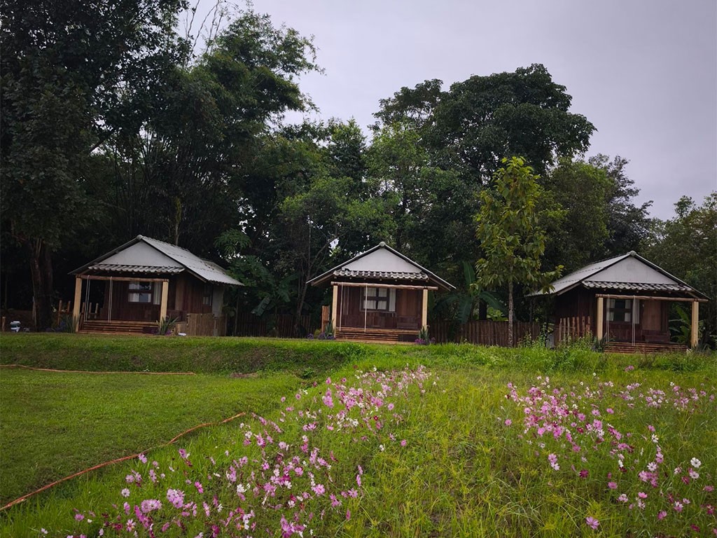 บิ๊กลีฟ แคมป์