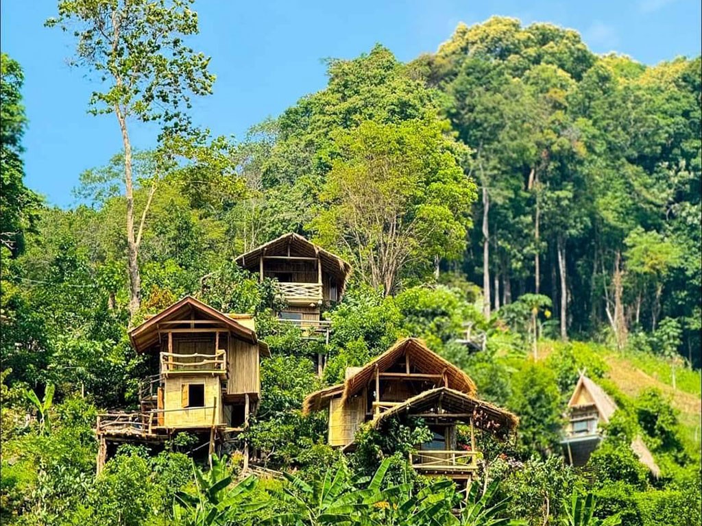 ดอยอินตะวันวิวแคมป์ปิ้ง