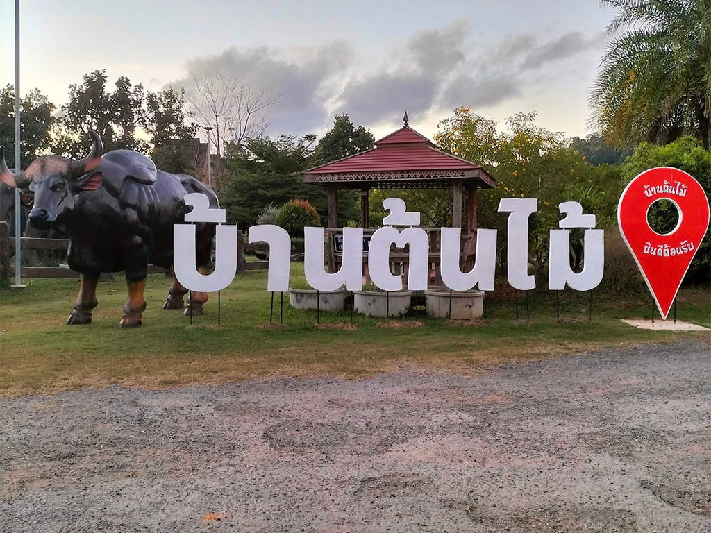 บ้านต้นไม้ รีสอร์ท วังน้ำเขียว