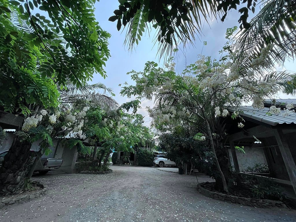 วาไอน่า แอนด์ ณัฐชา รีสอร์ท