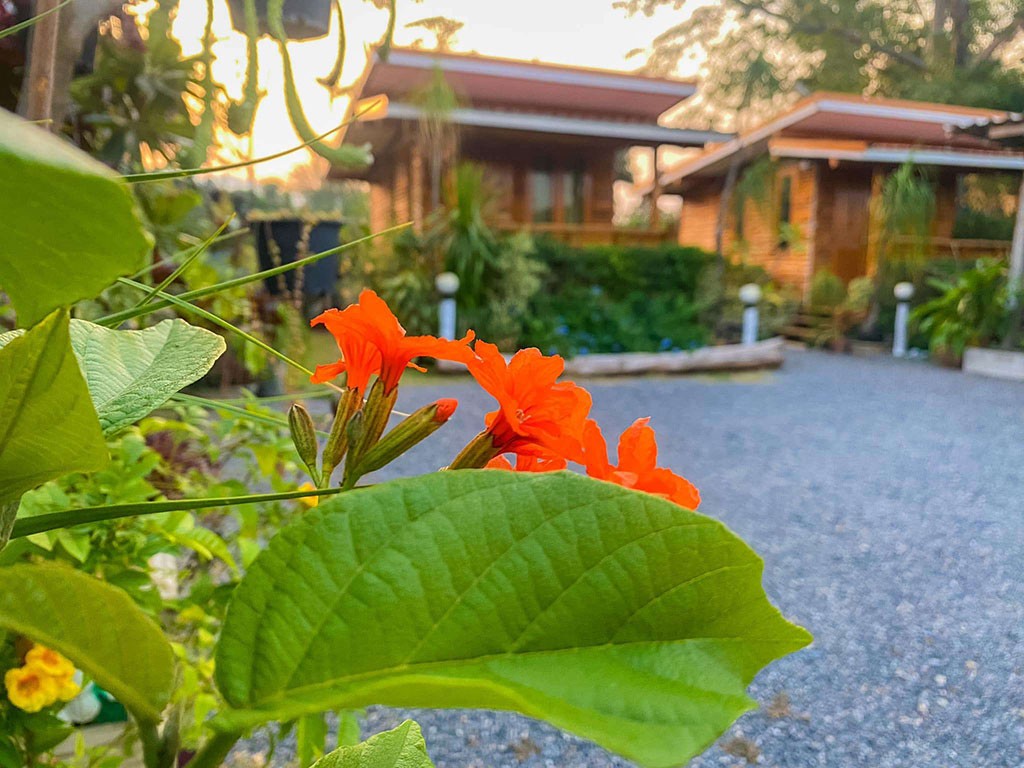 ครัวบ้านไม้สักโฮมสเตย์ เขาวงพระจันทร์