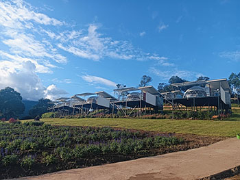 สวนไร่รุ่งอรุณ