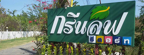 green leaf resort surin